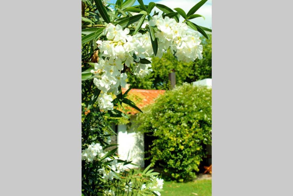 فيلا Big Beautiful House With Garden In 5Ta Seccion Neighbourhood ميندوزا المظهر الخارجي الصورة